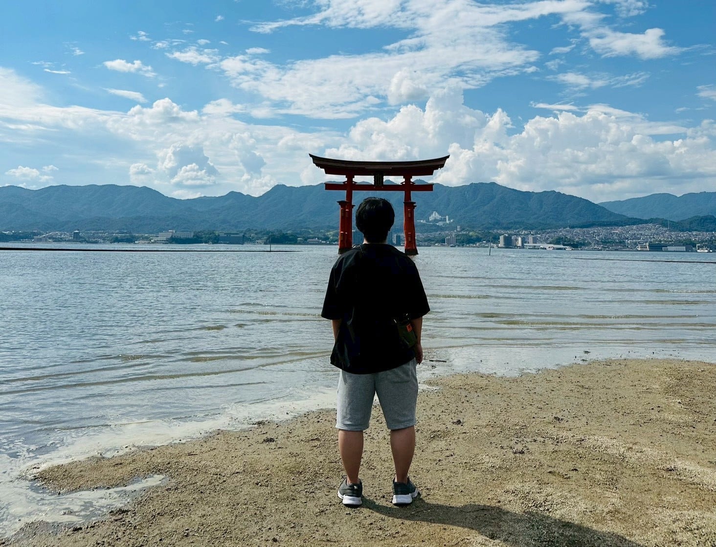 からくさ△マツ